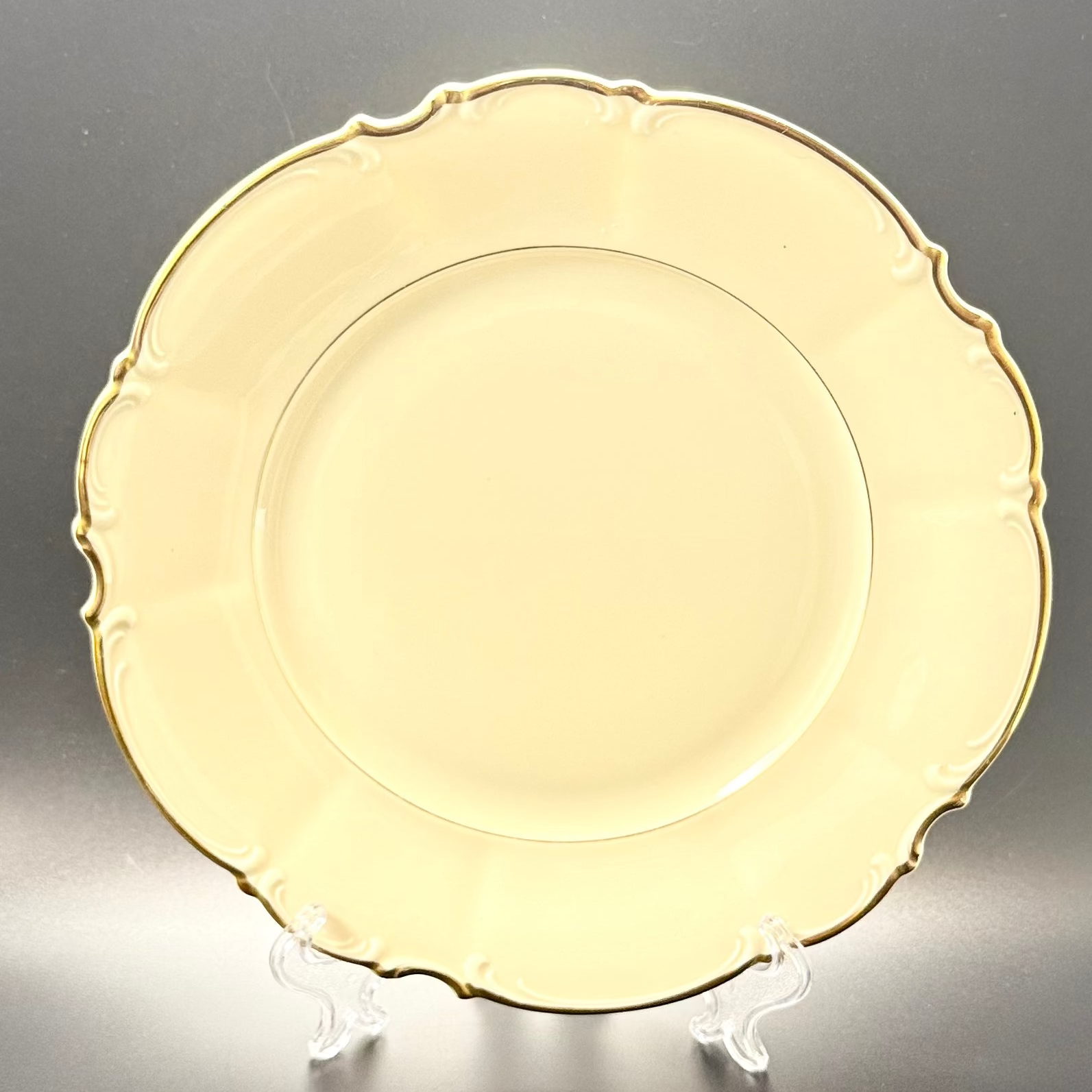 Hutschenreuther Selb Bavaria Dinner Plate 25 cm