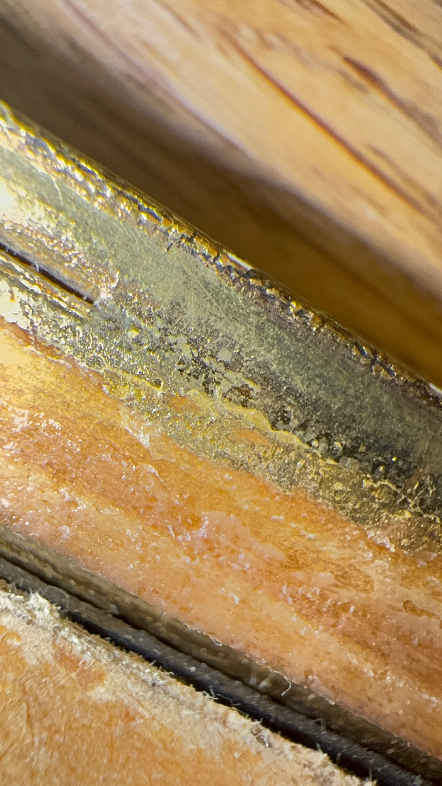 Antikt fotografi efter Prinsesse Eugénie Bernadotte “Kan du ikke tale” – ca. 1900