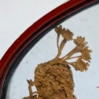 Kinesisk korkudskæring med landskab, pagode og panda udskæring i glasmontre