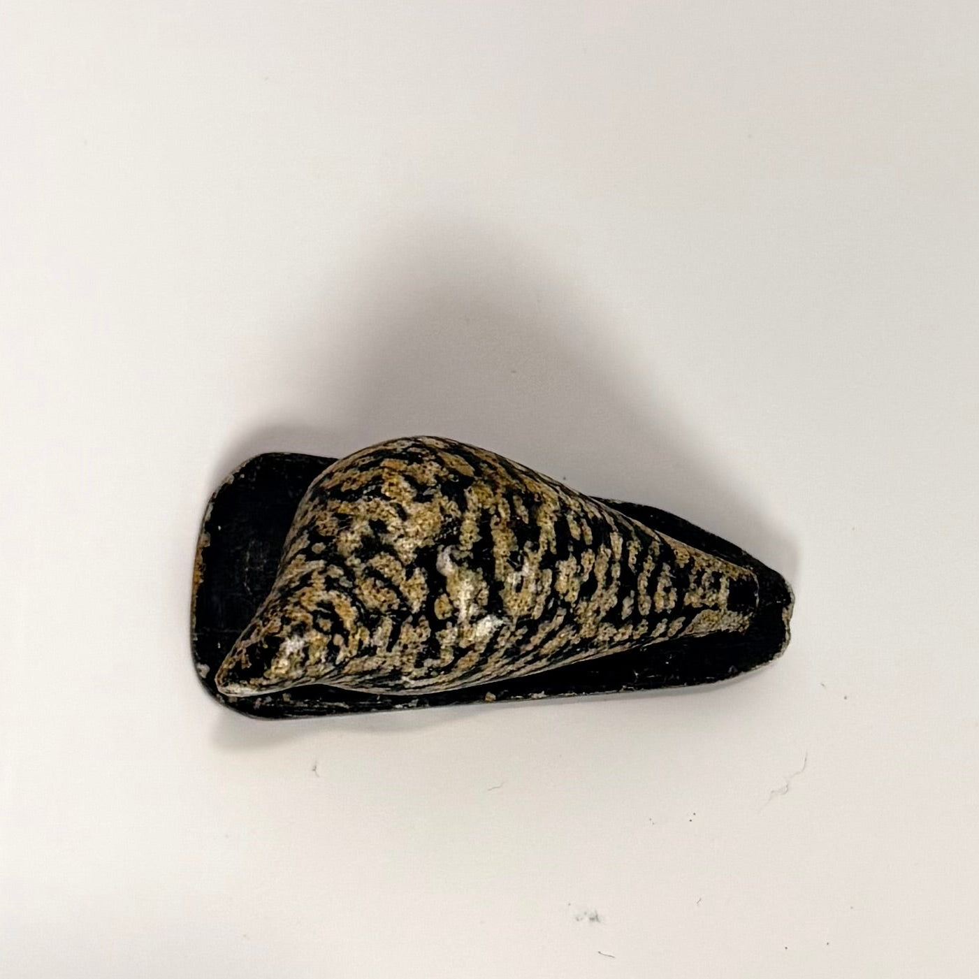 Kalaallit-Grønlandsk kunst, samlerobjekt, fedtstensfigur af Therkild Josefsen 