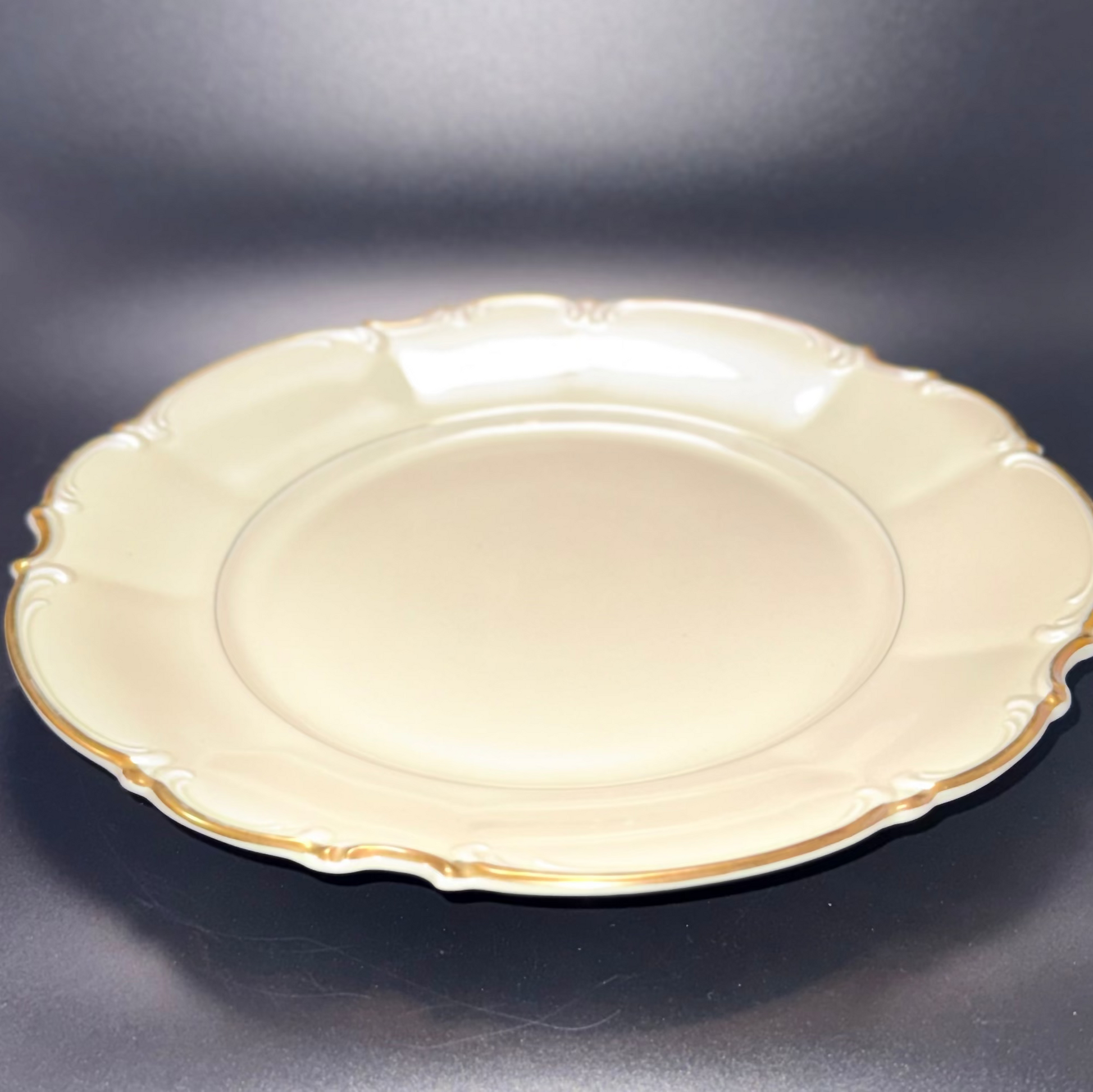 Hutschenreuther Selb Bavaria Dinner Plate 25 cm
