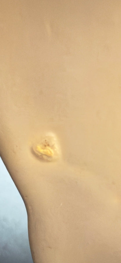 Antik engelsk Losol Ware middagstallerken – W. H. Grindley, Staffordshire (Keele), ca. 1890–1910 - Frøken Lilly