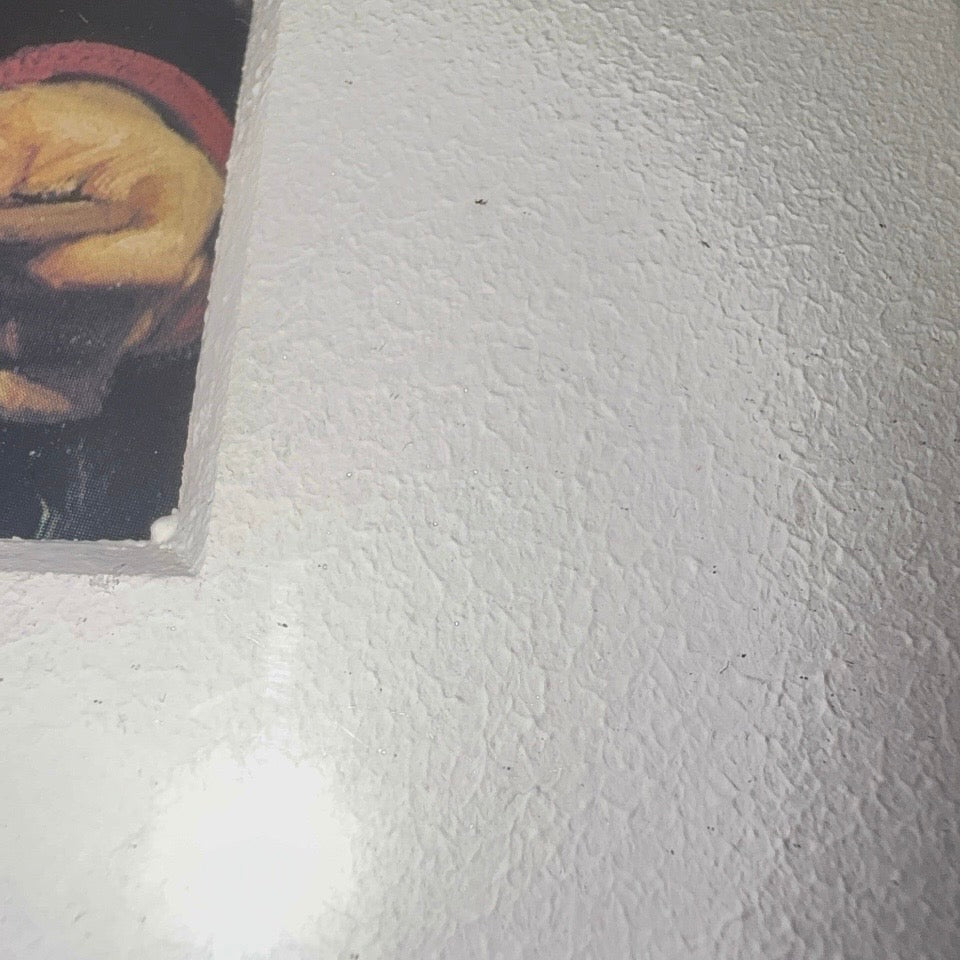 Michael Ancher kunsttryk – Anna Ancher lærer sin datter Helga at tegne - Frøken Lilly